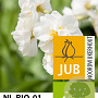 Narcissus 'Bridal Crown' 12-14 cm verpakt per 10