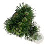 Pinus heldreichii 'Malinki' 40-50 cm 15L