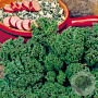 Boerenkool Westlandse Herfst GM Per 600 zaden